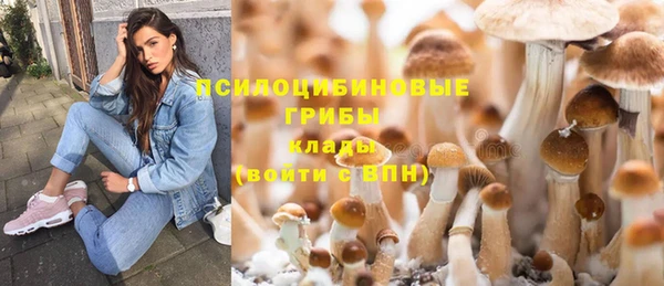 индика Белокуриха